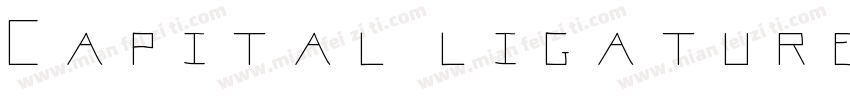 Capital ligatures字体转换